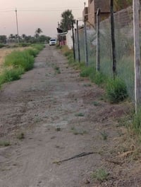 سند ٢٥ • دونم ونص • ناحية ابي غرق