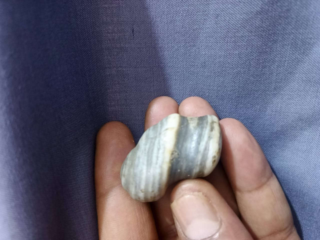 السلام عليكم من رخصة الادما طبعا
شرط ملاگط قديم واليمانية ذمه من اليمن 
العنوان بغداد 
***********
