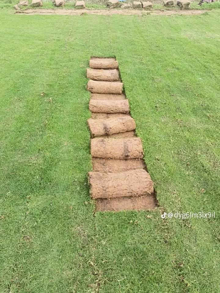 ثيل ديالى الطبيعي درجه اولى توصيل جميع المحافظات العراق بكافه الانواع لاتصال على الرقم تالي ***********او ***********
