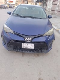 كورلا • ٢٠١٩ • الكوت