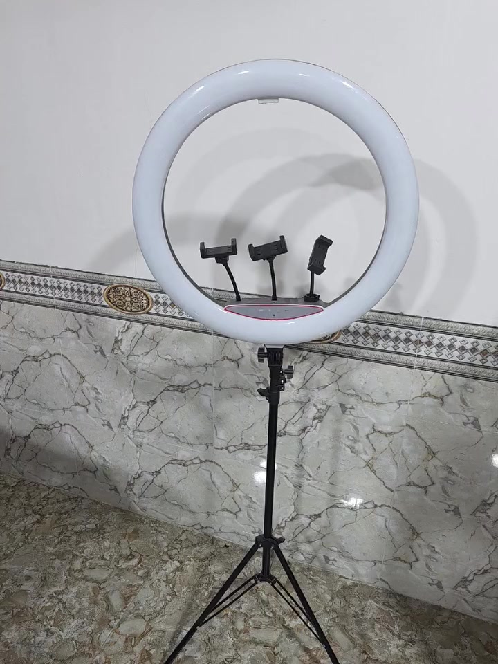 رنك لايت حجم عملاق


**إذا كنت صاحب هذا الإعلان وتريد حذفه لأي سبب، رجاءا أرسل رسالة إلى الدعم الفني**