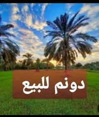 يا الله دونم طابو زراعي سند 25 موقع كلش حلو وسعره مناسب العنوان بغداد ...