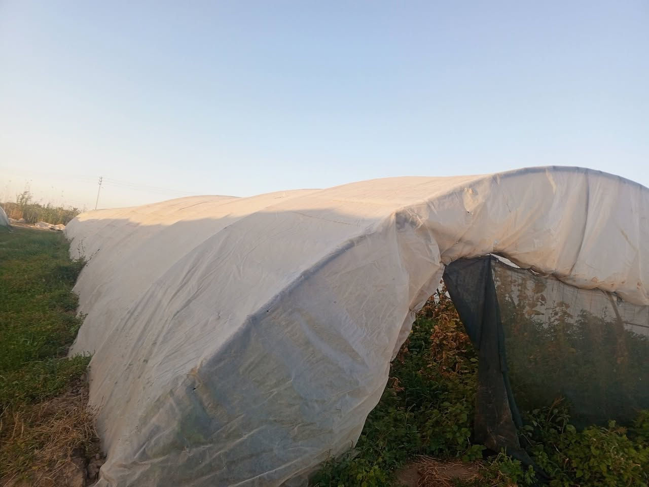 للبيع بيوت زجاجية عدد 2 بيوت مخصصة لزراعة الخيار والخضروات 🌱
✔️ الطول الرسمي 56  
✔️ العرض 9  
✔️ نايلون  أصلي 200 مايكرو  
✔️  
✔️ الحديد درجة النظافة ممتاز جداً  
✔️ النوعية الأصلية الأولى – الأردني الأول  
✔️ كاملات مع جميع مستلزماتها والحديد كامل
عنوان بابل جبله 

للناس اللي تعرف بالشغل الزراعي… هاي فرصة حقيقية للي يريد يبدأ أو يوسع مشروعه بأفضل المواصفات وبحالة ممتازة جداً 👌

الشغل مرتب وجاهز مباشرة، والنوعية تتكلم عن نفسها.

📞 للاستفسار والتفاصيل التواصل خاص أ
@إشارة ***********
