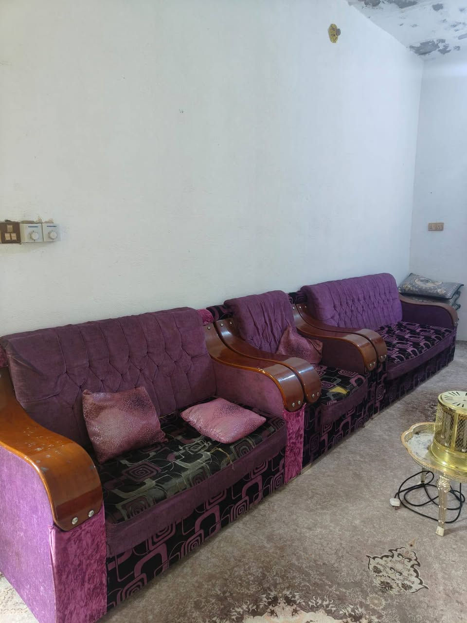 تخم قنفات للبيع مكلف بل نشر***********
