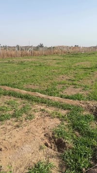 أرض • المدائن • سلمان باك