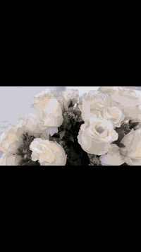 احنه نزين فرحتكم. وأنتو خلو الناس تحجي بخطوبتكم💐✨
🎉 كوشات المصطفى 🎉

🕒 متواجدون لتلبية طلباتكم في أي وقت
📞 للحجز والاستفسار، تواصل معنا الآن ***********

#اكسبلور #حفلات #حنه_عروس عقد_قران
