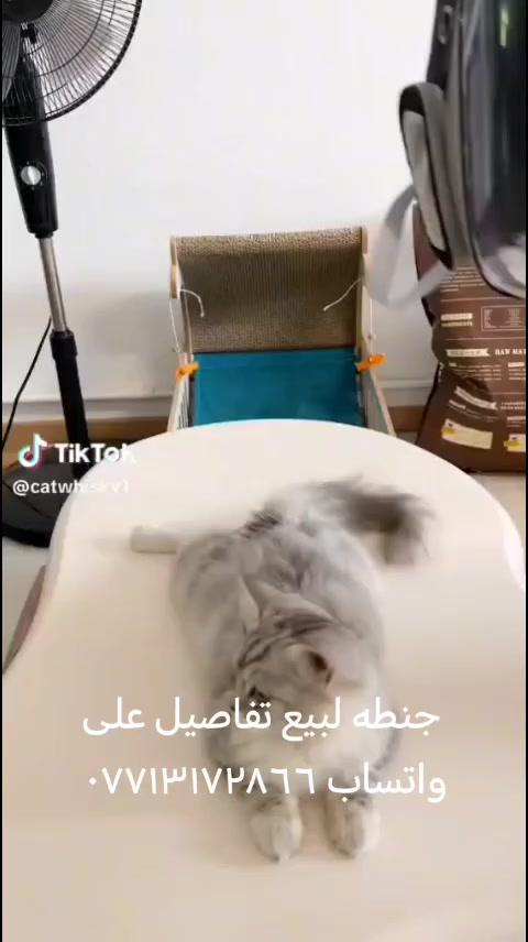 أغراض لبيع تفاصيل على واتساب ***********
