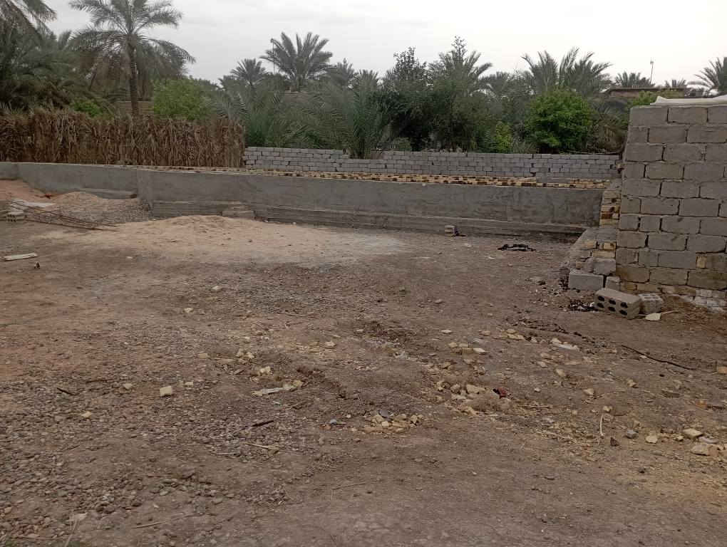 يا الله سلام عليكم يتوفر قطع ارض مساحتها 200متر ملك صرف زراعي حق التصرف موقع مميز قرب أثار بابل والمسرح الوطني القادسية حي المرتضى شار الصيدلي سعره 14مليون كافة الخدمات متوفره الي يحب يتواصل رقم الهاتف وتساب *********** حلة, بابل
