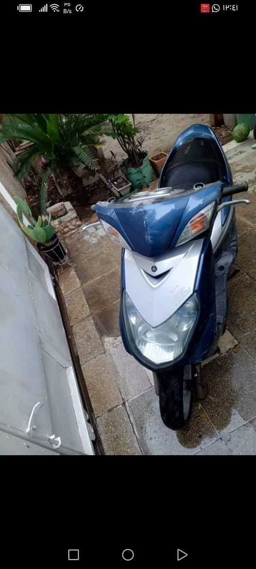 سكنس فحل نوزل . دراجه گدام عينك و تجي و تدلل السعر 400 . تلفون ***********
