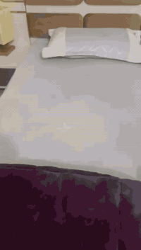 سلام عليكم ثلاجه 28قدم سعر 225غرفه نوم 350بيهن مجال للشراي مكان بغداد حي العامل


**إذا كنت صاحب هذا الإعلان وتريد حذفه لأي سبب، رجاءا أرسل رسالة إلى الدعم الفني**