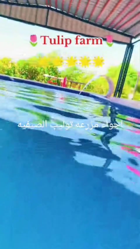 مزرعه توليب في ابو غريب الايجار اليومي للحجز والمعلومات الاتصال ***********او ***********
