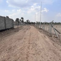 ٣٩٠م • مجاور جامعة بابل • طابو زراعي