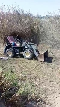 ميسيبوشي • بدون ورق • بابل مسيب