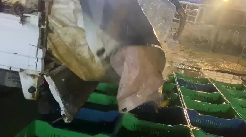 عرض يوم الخميس والجمعه 
سمجه كيلوين ١٣ الف دينار 
سمجه ٣ كيلوات ١٩الف دينار 
سعر كيلو سمك مسكوف ٦٥٠٠
يشمل العرض المقبلات والتوصيل 
***********
*********** واتس فقط
