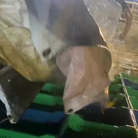 عرض يوم الخميس والجمعه  سمجه كيلوين ١٣ الف دينار  سمجه ٣ كيلوات ١٩الف ...