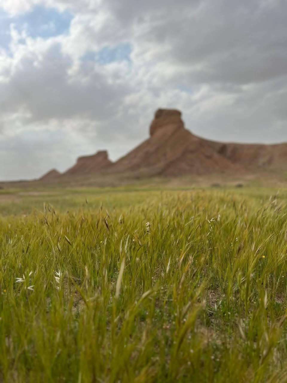 برنامجنا ونسة يوم 1/1
الساعه ال 7 صباحا الى زرباطية اجرة النفر 6 
دز عنوانك ونجيك للأقوب نقطة داله وتدللون 
للأستفسار 👇👇👇
***********
