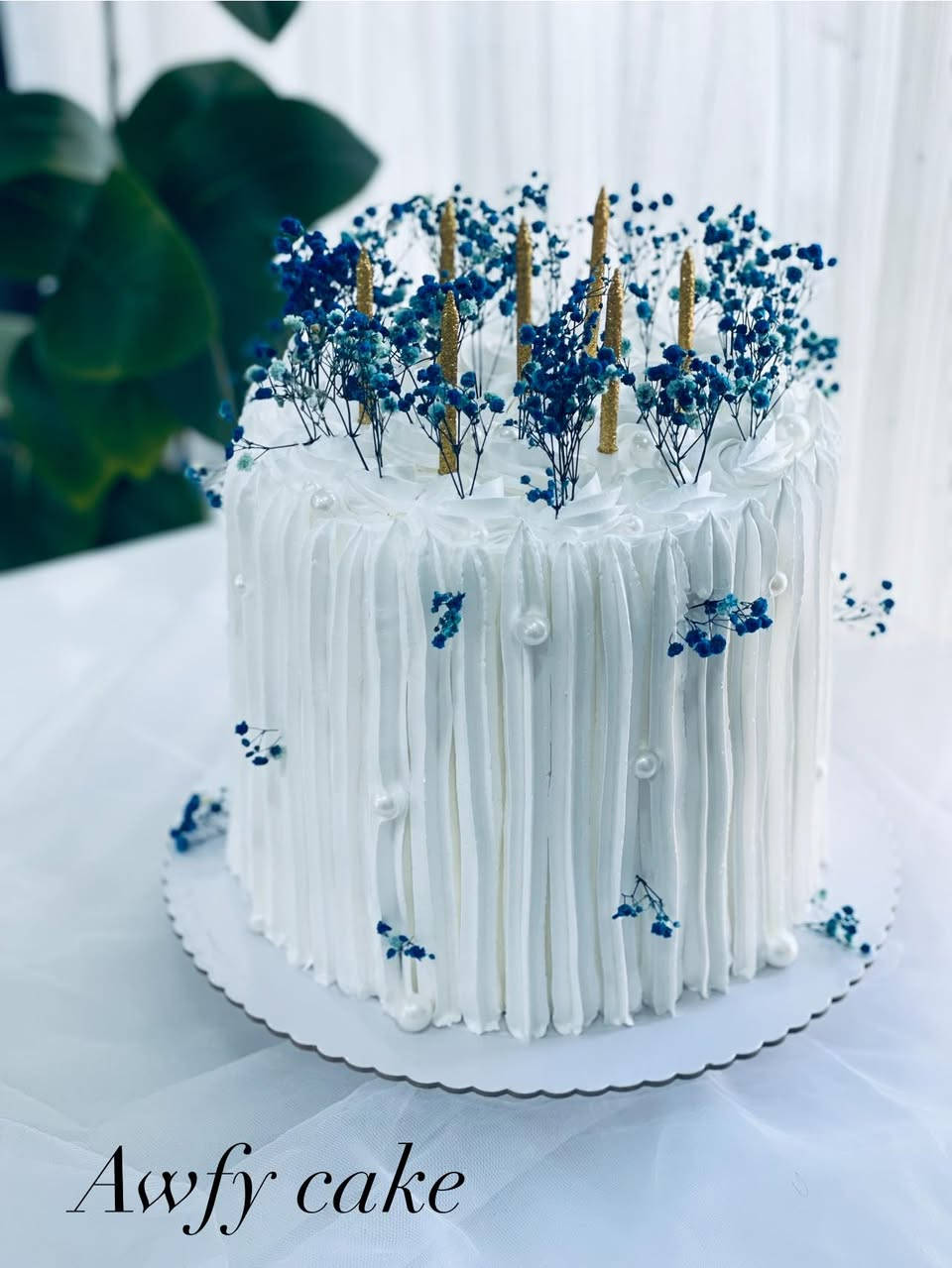 #الديوانيه


**إذا كنت صاحب هذا الإعلان وتريد حذفه لأي سبب، رجاءا أرسل رسالة إلى الدعم الفني**