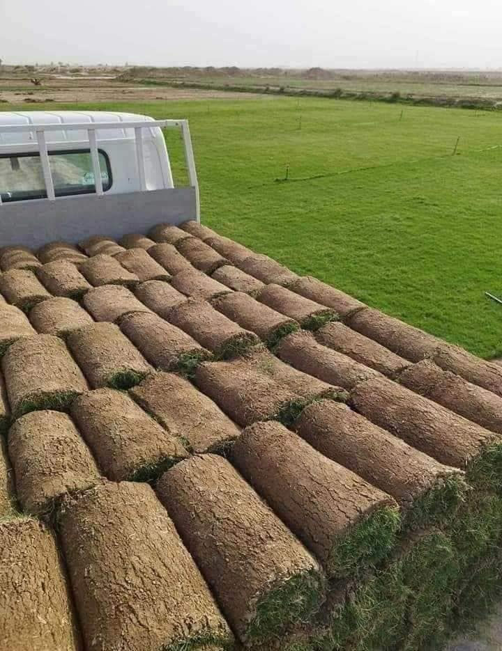 من مزارع ثيل ديالى الطبيعي
ثيل طبيعي وخضار ولا اروع 💚
كل انواع الثيل تلكوها عدنة وكادر متخصص متنقل يجيك لباب البيت
نوعية ممتازة ودرجه اولى ⁦1️⃣⁩
ودائم الخضره 

يتوفر لدينا جميع انواع الثيل الطبيعي 🌿🌲☘️
🌿ثيل هندي 🌲🍀

🌿ثيل امريكي 🌿🌳

🌿ثيل فرنسي 🌳🌲
مستعدون لتجهيز 
🌳الدور السكنية 🌿
🌲الدوائر الحكومية 🌳
🍀الحدائق العامة 🍀
نتميز بحسن الجودة والاسعار المناسبة 💪😊
للاتصال والاستفسار على الرقم التالي 

***********
***********
