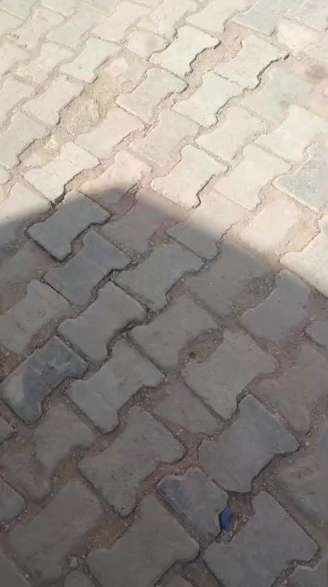 بيت جديد ما مسكون  يحتوي. غرفه  صاله مطبخ. صحيات   طابق واحد  سعر ع خاص(***********
