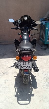 بوكسر • جبلي • ٢٠٢٣