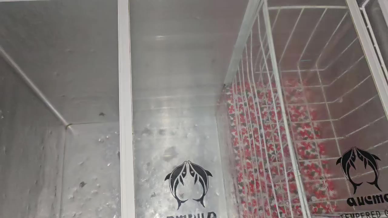 السلام عليكم مجمده شغاله مداخله تصليح 
شرط ضمان تجميد السعر 85 بي مجال قليل 
العنوان الحبيبيه شارع السجه الشراي يتصل او واتساب ***********
