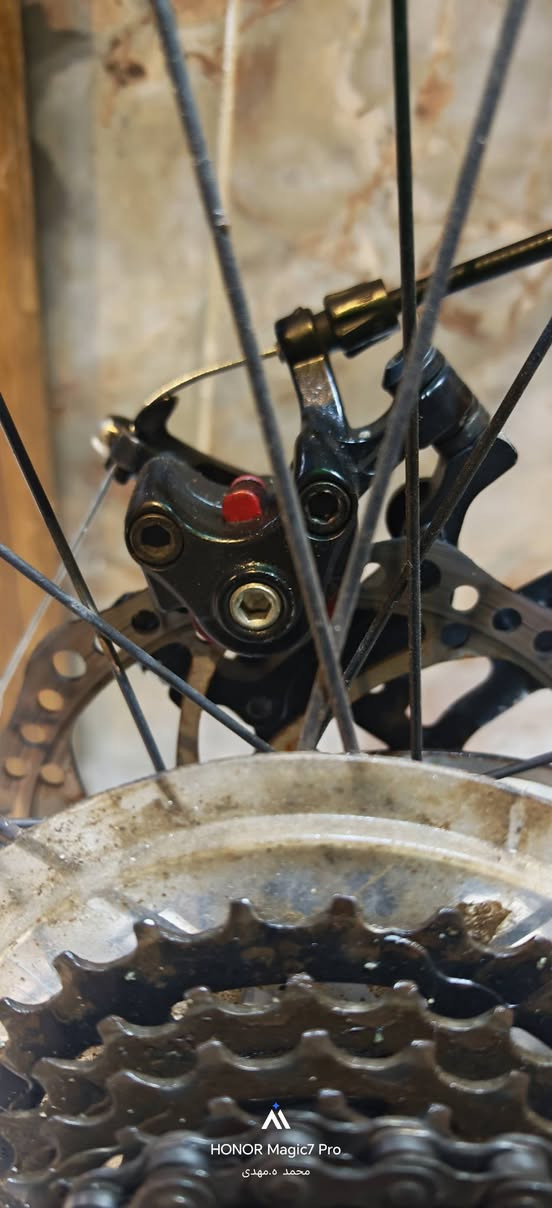 بايسكل للبيع جبلي دبل امامي حجم 26 تايرات واجوابه جدد
نوع G.k . Bike
صيني بس سستم بدالات وعقرب وكرنك  ياباني شيمانو  
بريك صينيه
سرعات 3*8
كامل مكمل من كلشي سرج ابو الدبلات مريح جدا مناقصه اي شي 
المكان بغداد جكوك الكاظميه 
***********
