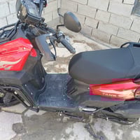 جبلي • جديده • كفالة عام