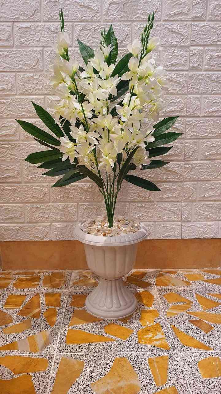 ❤️عرررض خاص لفترة محدودة ❤️


**إذا كنت صاحب هذا الإعلان وتريد حذفه لأي سبب، رجاءا أرسل رسالة إلى الدعم الفني**
