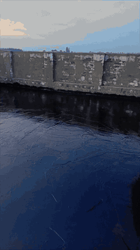 سكلت بركات ام البنين. (ع) العمل الكير وتصطيح المباني  الحكوميه ولهليه ...