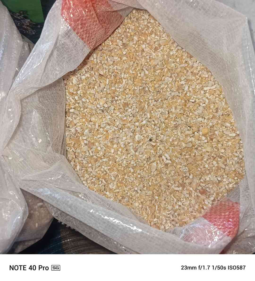 علا بركة الله تم افتتاح محلات ابو فلاح لبيع الاعلاف 
الطيور بانواعه 
و اعلاف المواشي 
باسعار مناسبه 
باداره حسن /***********
العنوان النصر المدخل الاول مجاور صدام ابو الدجاج
