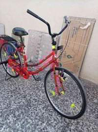 باسكل • ٢٠٢٤ • مقاس ٢٦