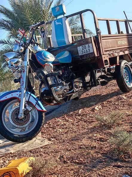 سلام عليكم شباب ستوته لبيع رقم انكليزي بسمي مداور ثاني يوم مديل 11تعمر كله 25ستوته مكفول كفاله عامه مال جناي الستوته متعوب عليه السعر 
(2500) اوبيه مجال الشراي يتصل ***********
    
مكان مشخاب بسوك شعلان
