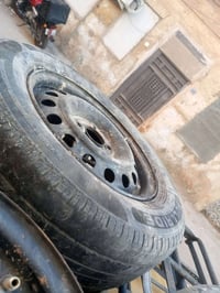 تخم حجم 14 شيري كوين للبيع او مراوس بويل كب مكاني بالاعظمية بالسفينة 0...