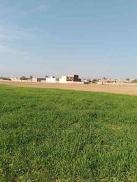 ليلان كركوك • أرض زراعي • ٢ دونم