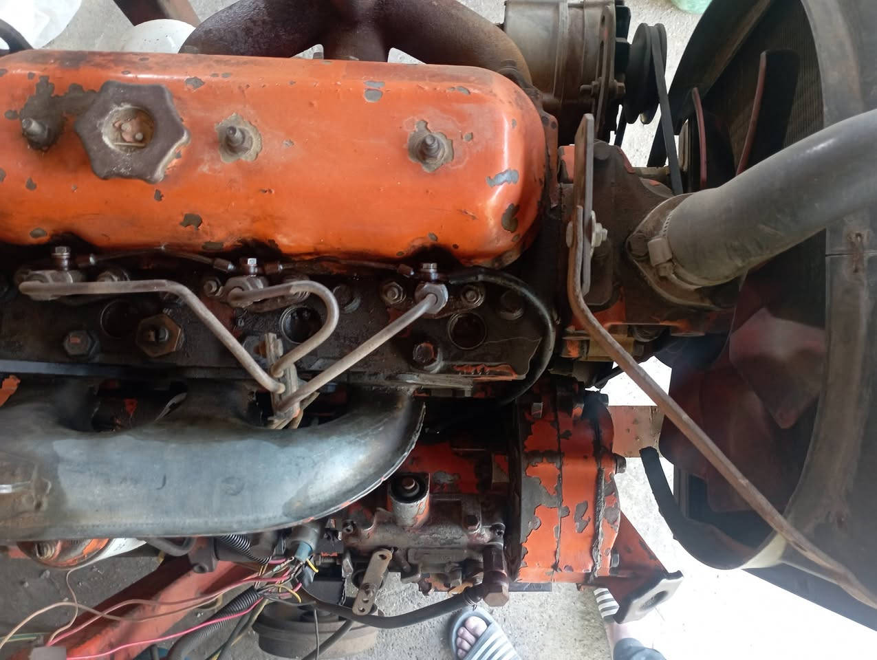 سلام عليكم مولده فئات افيكو 3بستم 27كيفي بلاديه  بديالى ***********
