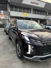 بالسايد فول لمتد • ٢٠٢٤ • جلد