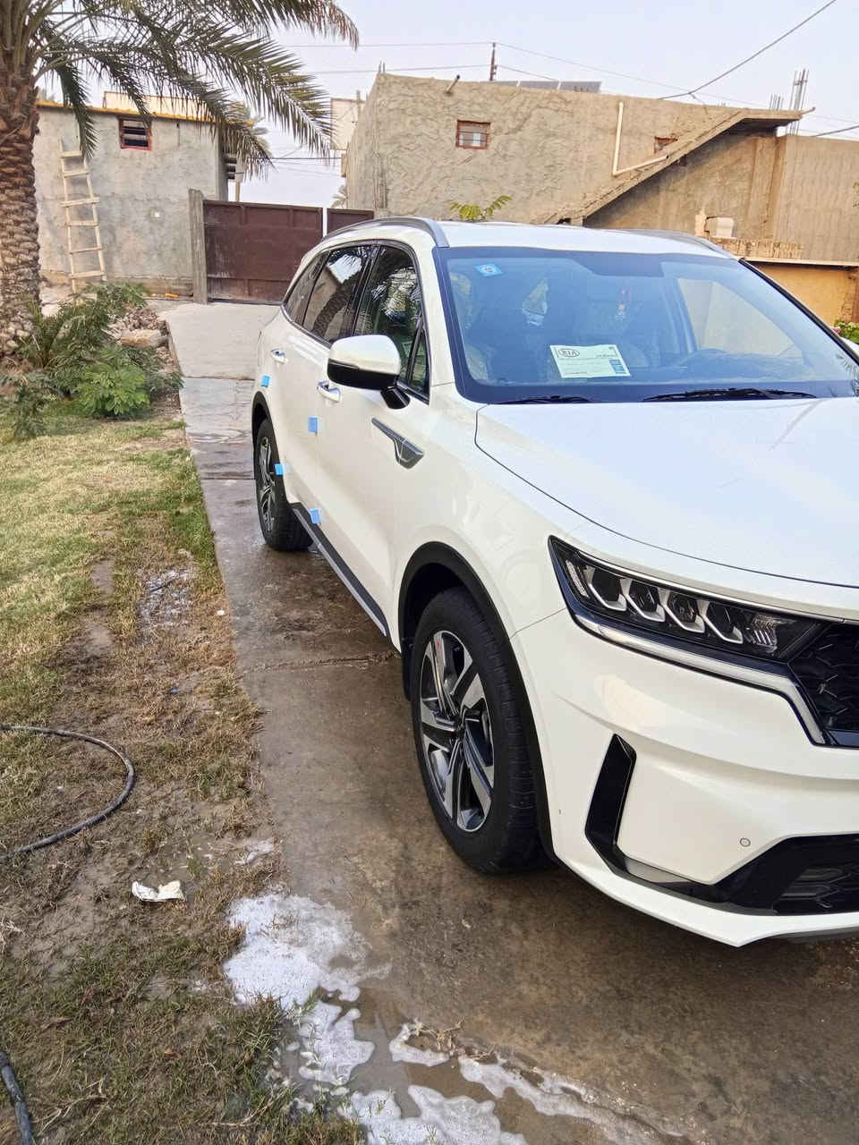 يا الله كيه سورنتو موديل 2023 رقم بغداد تحويل مباشر مواصفات بصمه كراسي كهربائية حساس امامي او خلفي جنطه كهربائية اريل نفكيشن شاشه متصله ماشيه 28 أصل اسياره على ايد وحده من الشركه مكفول كفاله عامه السعر 3 شدات بيه مجال قليل العنوان حله حي الجزائر الشراي يتصل ول مو شراي يرفع المنشور يا الله ***********
