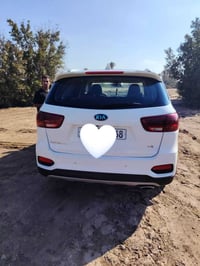 سورنتو • ٢٠٢٠ • كفالة عامة