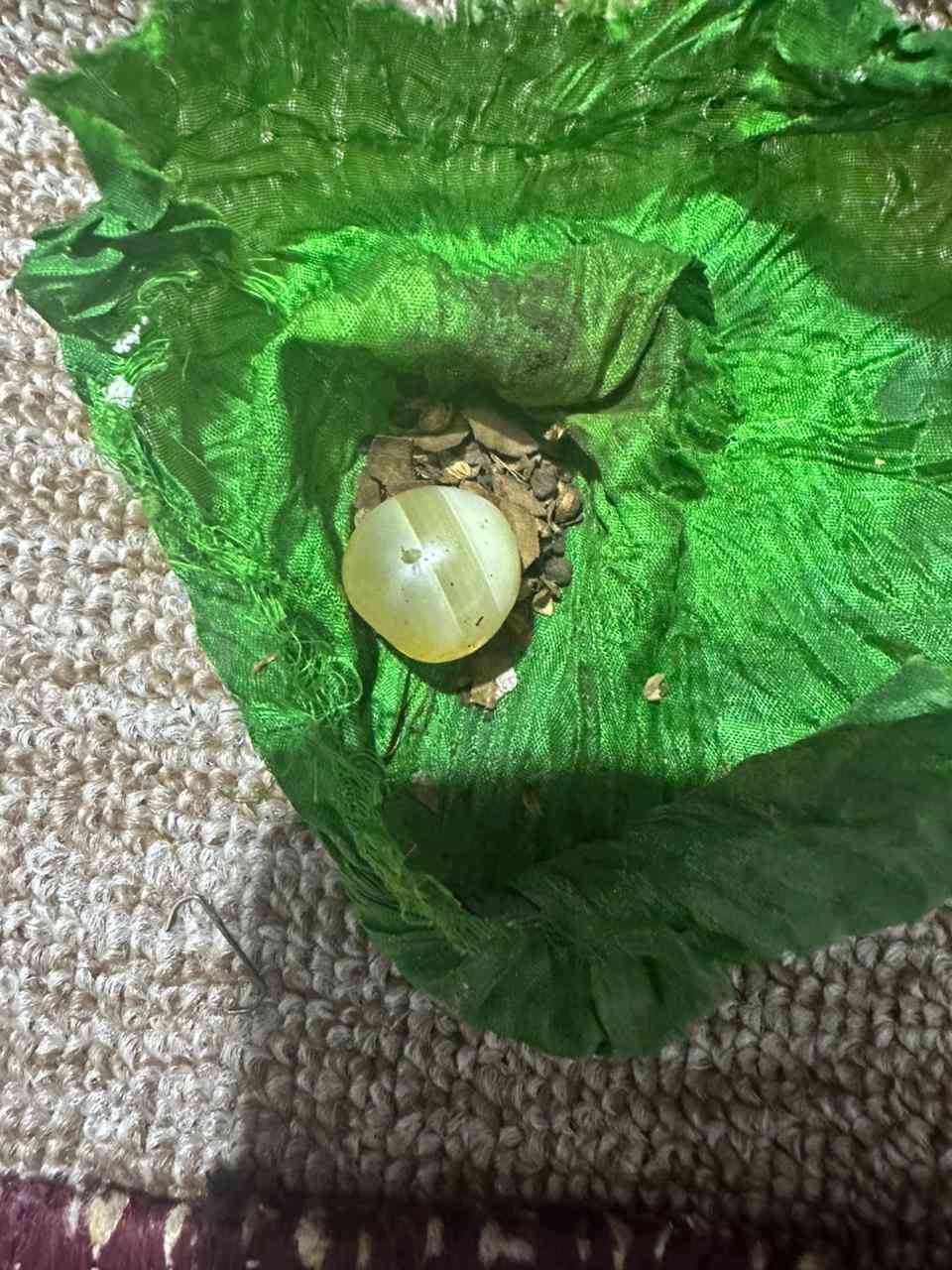 للبيع


**إذا كنت صاحب هذا الإعلان وتريد حذفه لأي سبب، رجاءا أرسل رسالة إلى الدعم الفني**