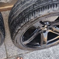 لللبيع خسفه قويه زوج فقط  وفيردا  تخم مكفول توسايز للبيع سعر  07838876...