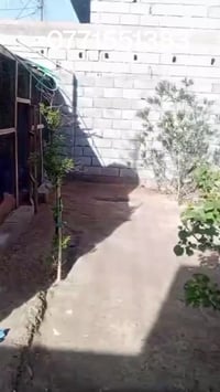 ابي الخصيب جيكور • ٢١٠م • طابو زراعي