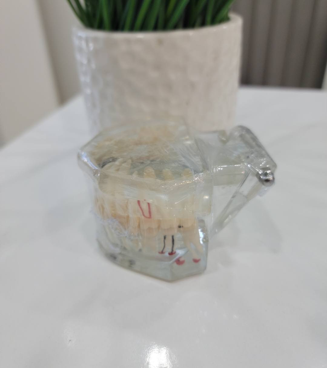 موديل اسنان جديد للبيع


**إذا كنت صاحب هذا الإعلان وتريد حذفه لأي سبب، رجاءا أرسل رسالة إلى الدعم الفني**