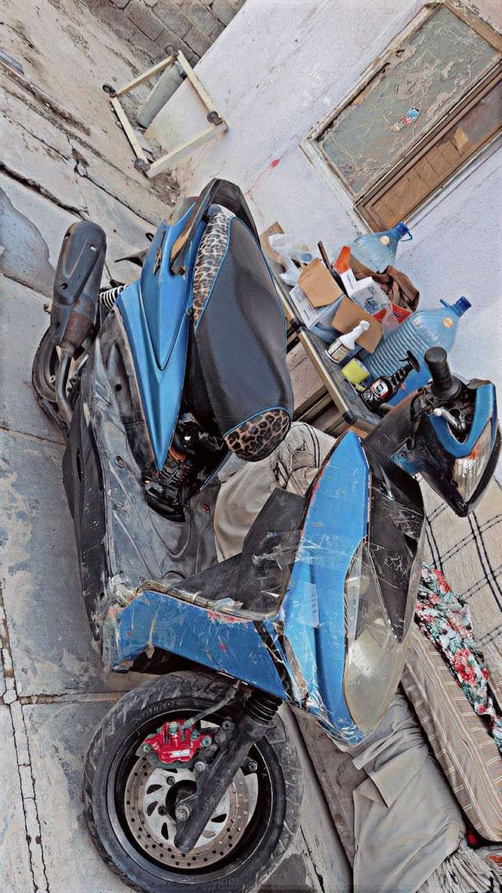 سلام عليكم سكنس فحل  للبيع الدراجه مكصوصه من بره قبل سنه الدراجه 58 تزويد بلادي 600 وبيهه مجال *********** بيه وتساب
