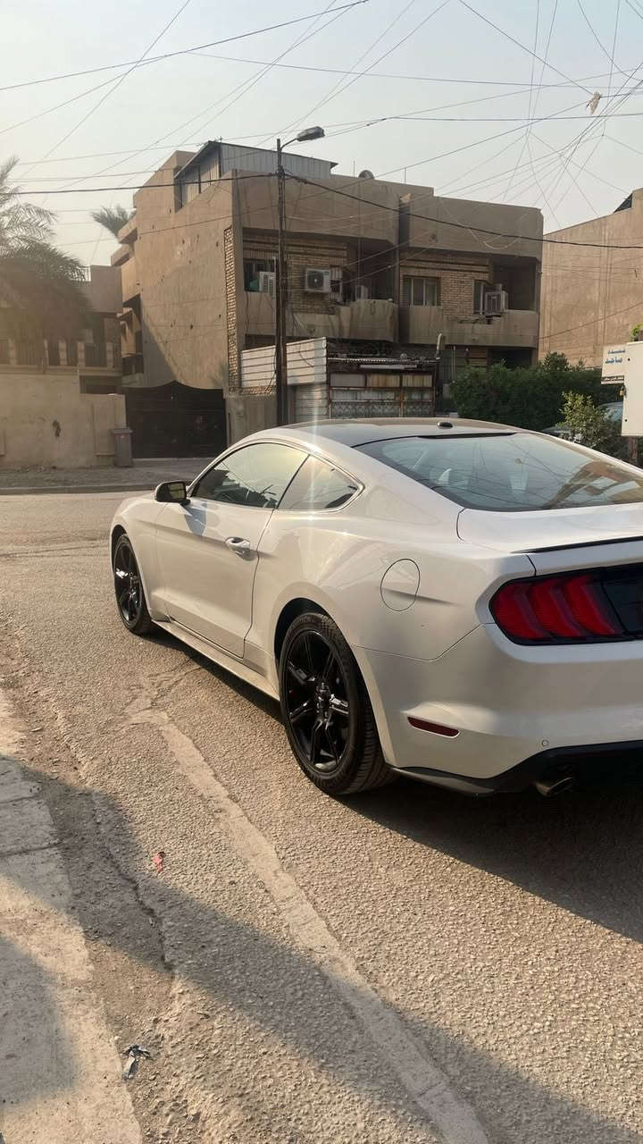 سلام عليكم 
موستنك ايكو بوست ٢٠١٩ 
عليها برمجة طلال 
السيارة نظيفة و مصروف عليها و مرتبة مابيها اي نقص 
استخدام يومي فقط 
صور الحادث موجودة و السيارة استيراد ب سنة ٢١ 
عارضها ب155 و بيها مجال بسيط كلش 
متواجد على الواتساب بس ***********
