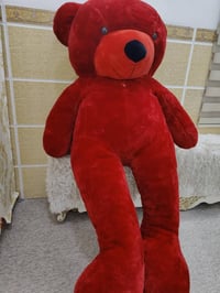 ورد احمر • فالنتاين • أربيل