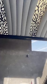 شباب ماكس عدله البيع النضافه بعد كدام عينك مكينه مامفتوحه دراجه تخبل س...