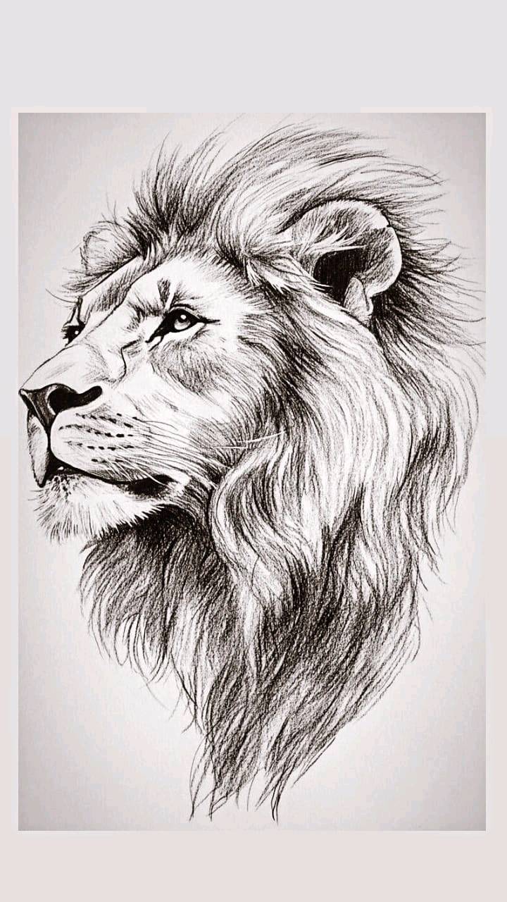 لوحات فنية يدوية تجمع بين الرسم الدقيق والخط العربي بأسلوب معبّر وجذاب. مثالية لتزيين المنزل أو المكتب، وتضيف لمسة فنية وأصالة إلى أي مكان تُعرض فيه.