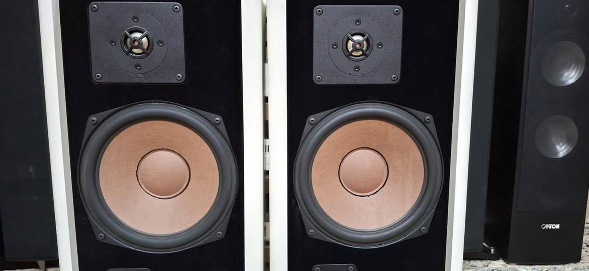 QUART 350S speakers
سماعات احترافيه
جودة صوت و دقة صوتهم في اعله مستوا
جدا نظيفات
Made in germany

***********
