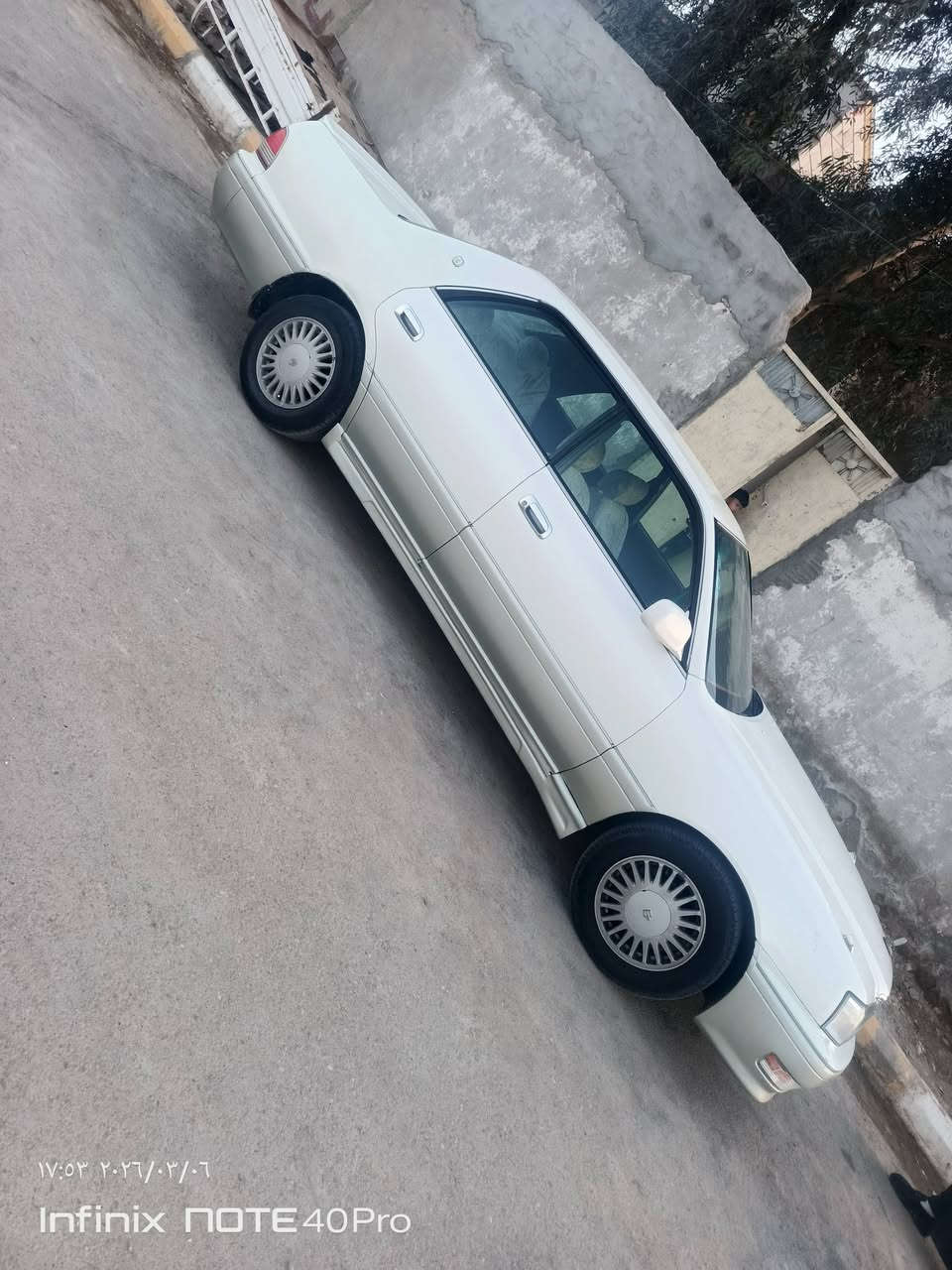 السلام عليكم راس الثور لبيع مكفول من العيب الشرعي ونقل الجثه رقم بغداد ظربته بجم تحويل ثاني يوم سعرها ٨٠ وبيه مجال شراي يتصل ***********
