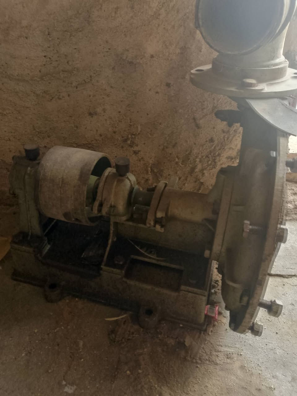 سلام عليكم خنزيره ضغط 4في5  مكان دوانيه شافعيه


**إذا كنت صاحب هذا الإعلان وتريد حذفه لأي سبب، رجاءا أرسل رسالة إلى الدعم الفني**